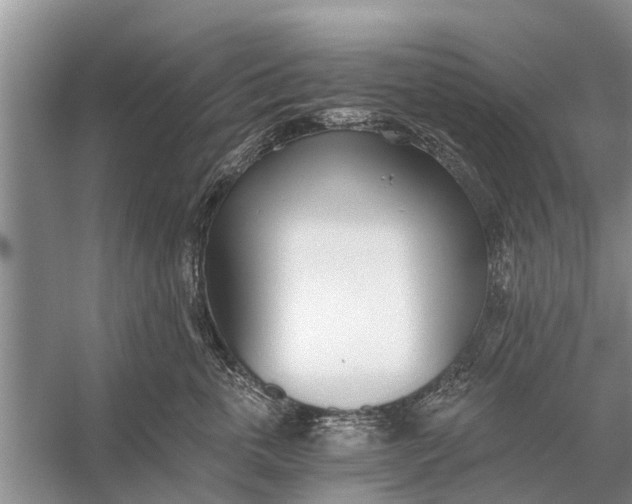 X0000056360763200509161828