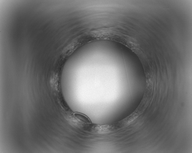 X0000056360767200509161828