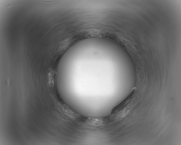 X0000056360768200509161828