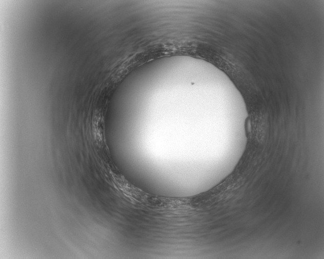 X0000056360770200509161827