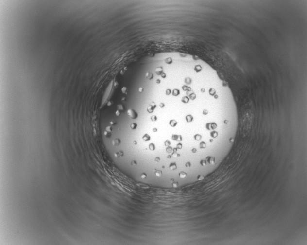 X0000056360772200509161827