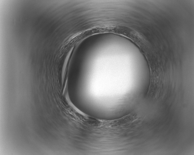 X0000056360773200509161827