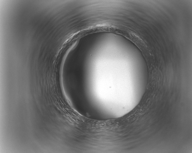 X0000056360776200509161827