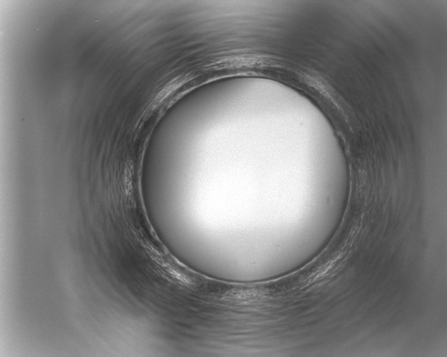 X0000056360778200509161827