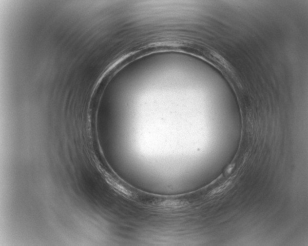 X0000056360779200509161827