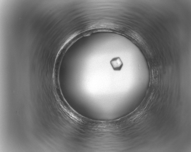 X0000056360780200509161827