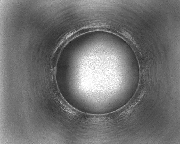 X0000056360781200509161827