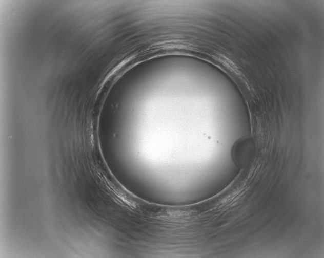 X0000056360782200509161827