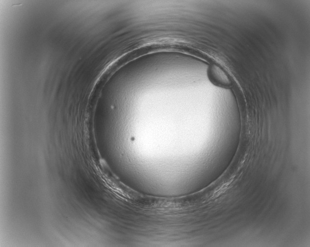 X0000056360783200509161827