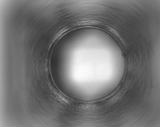 X0000056360786200509161827