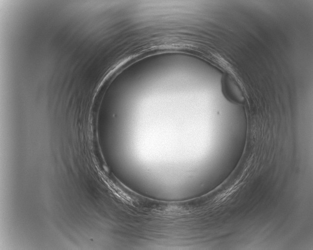 X0000056360787200509161827