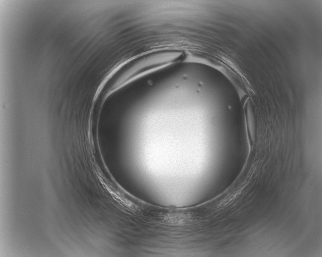 X0000056360788200509161827