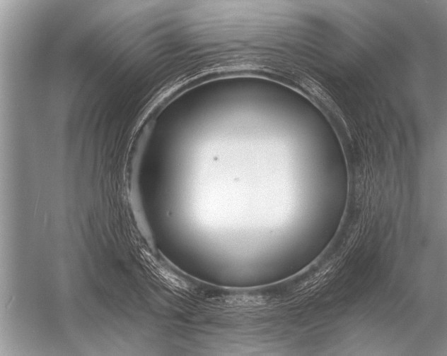 X0000056360789200509161827