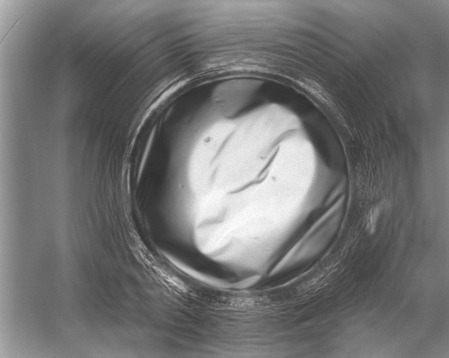 X0000056360790200509161827