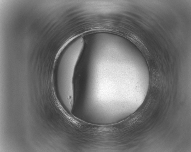 X0000056360796200509161827