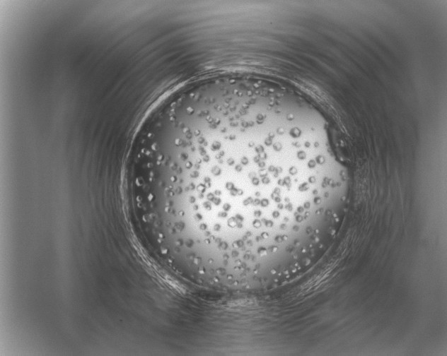 X0000056360798200509161827