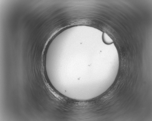 X0000056360800200509161827