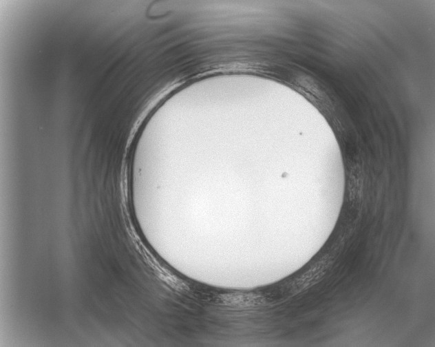 X0000056360804200509161827