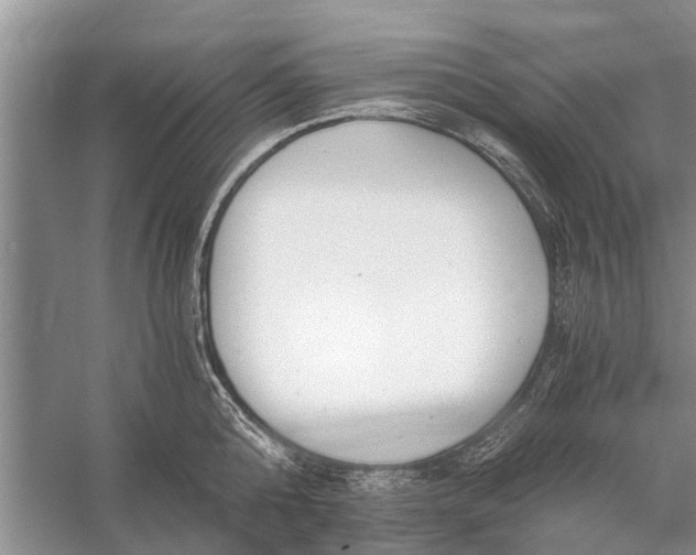 X0000056360808200509161826