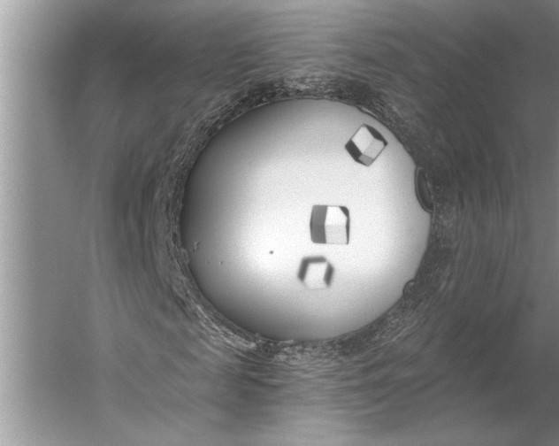 X0000056360817200509161826