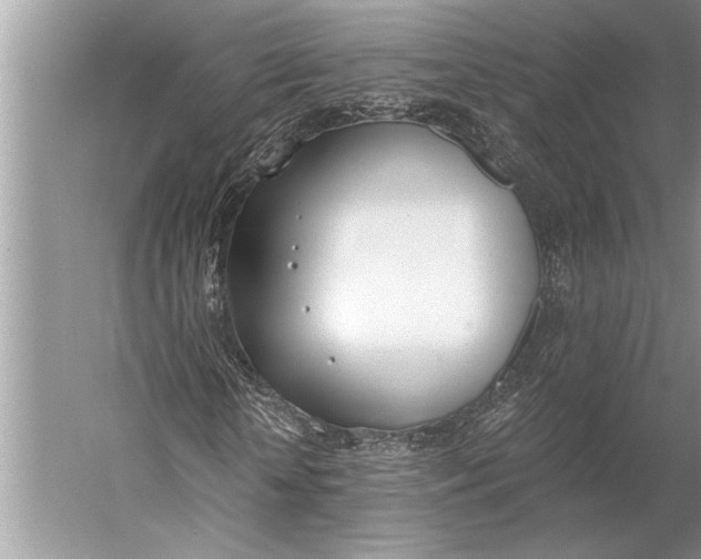 X0000056360818200509161826