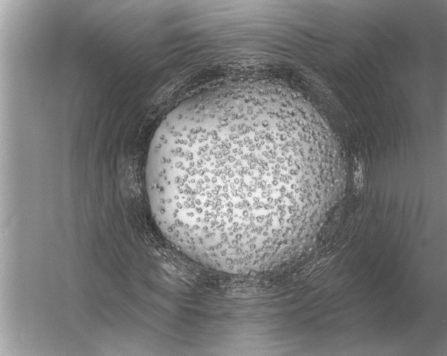 X0000056360819200509161826