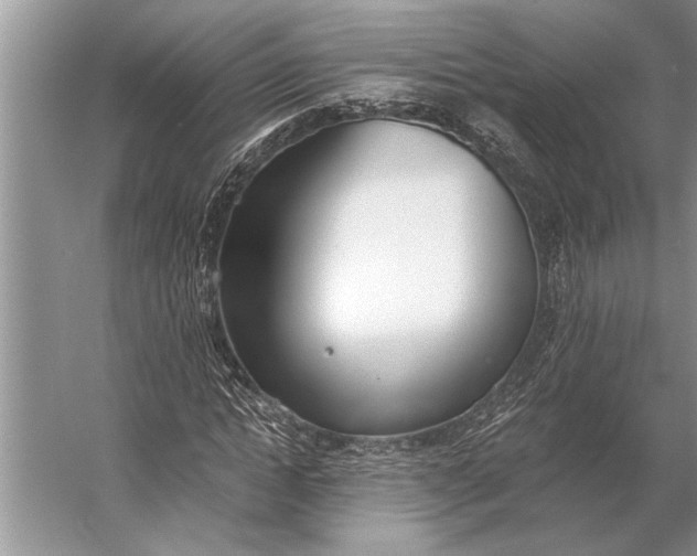 X0000056360822200509161826