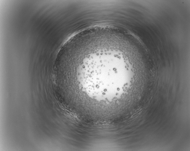 X0000056360823200509161826