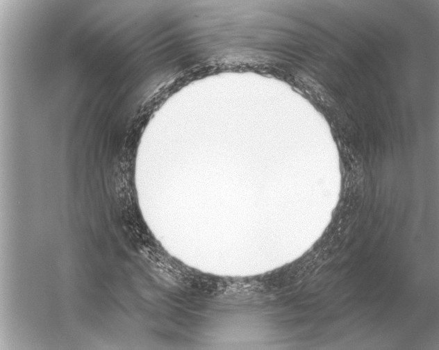 X0000056360824200509161826