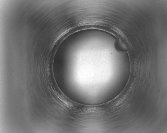 X0000056360826200509161826