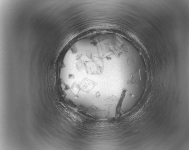 X0000056360829200509161826