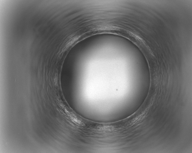 X0000056360833200509161826