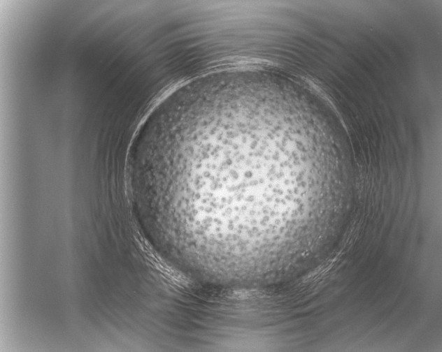 X0000056360835200509161826