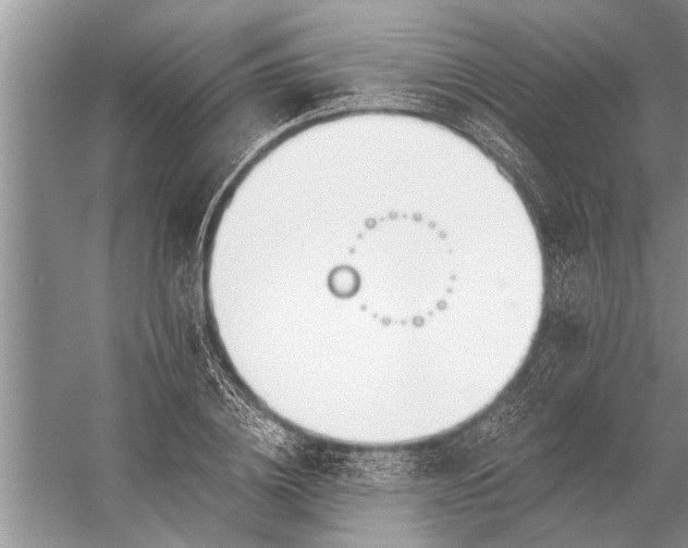 X0000056360836200509161826