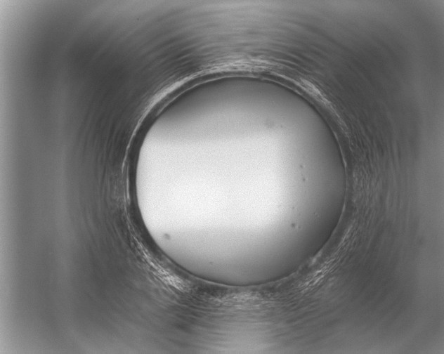 X0000056360838200509161826