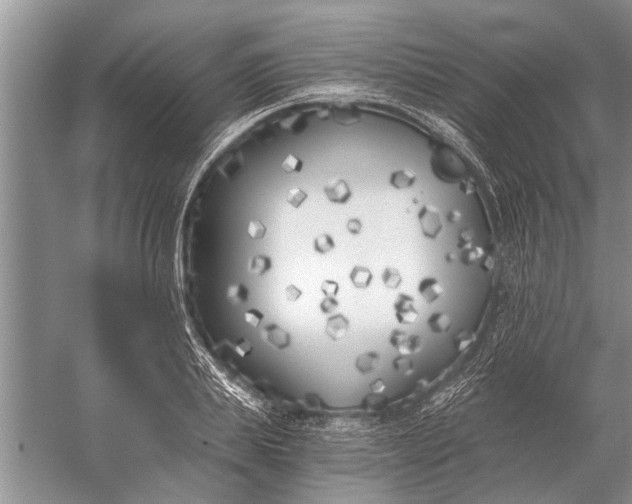 X0000056360839200509161826