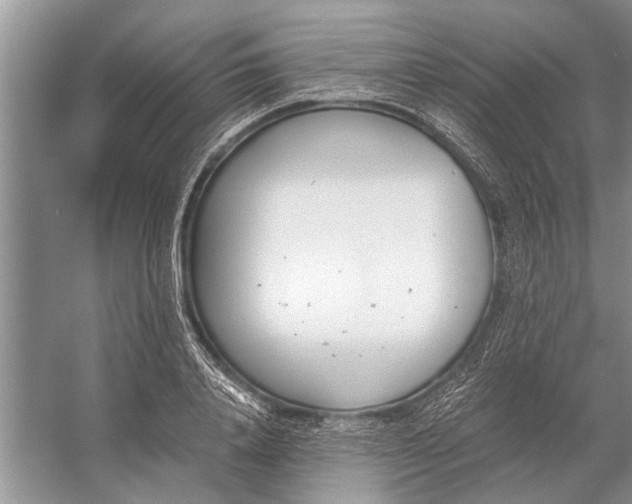 X0000056360840200509161826