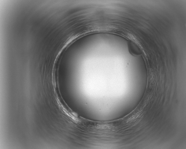 X0000056360843200509161826