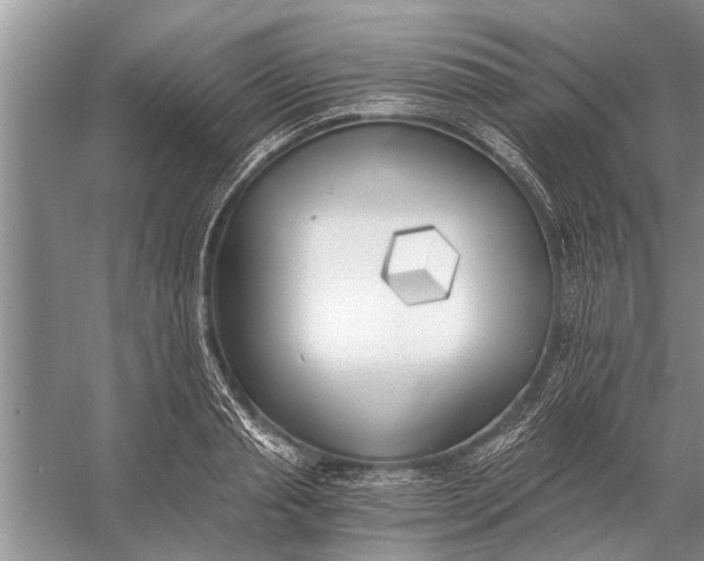 X0000056360845200509161826