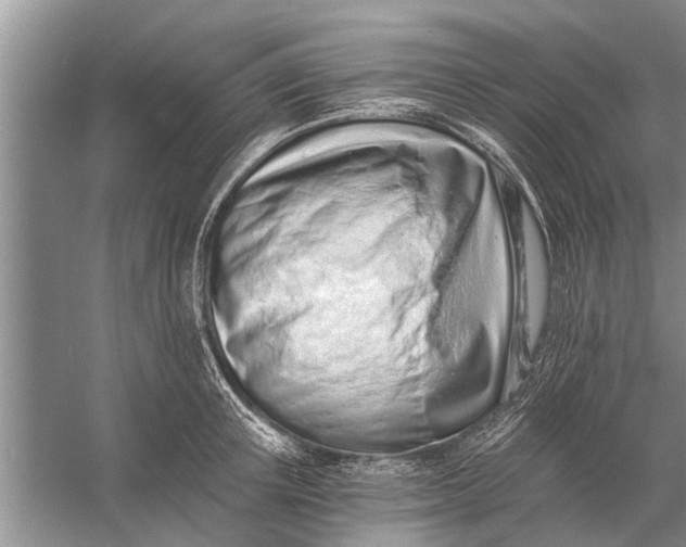 X0000056360851200509161826