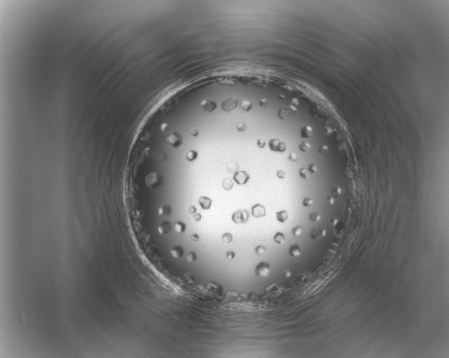 X0000056360855200509161826