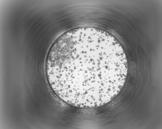 X0000056360856200509161826