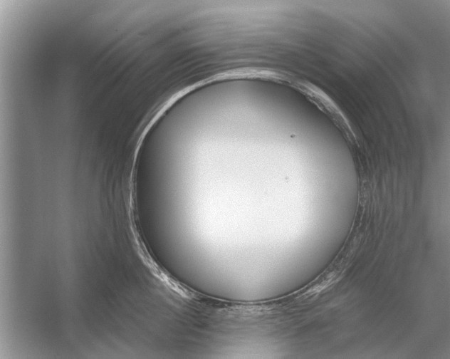 X0000056360860200509161826