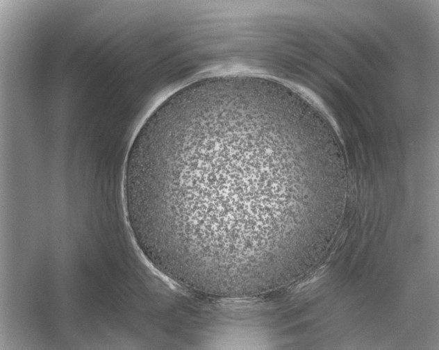 X0000056360863200509161826