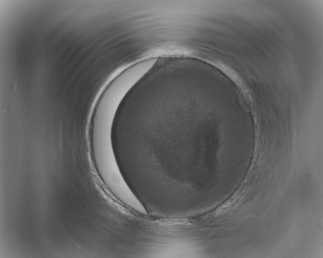 X0000056360864200509161826