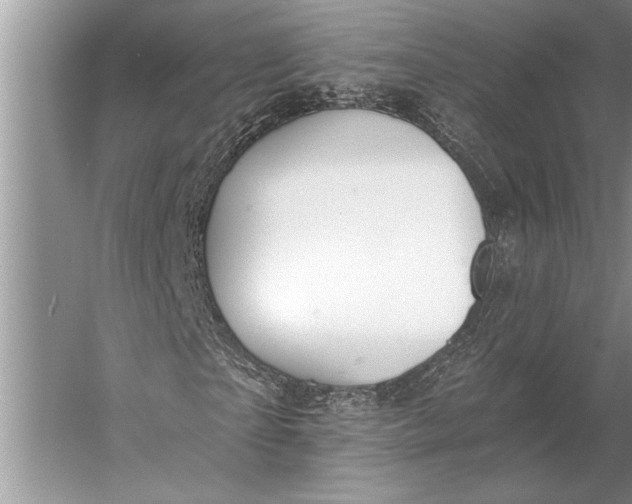 X0000056360865200509161825