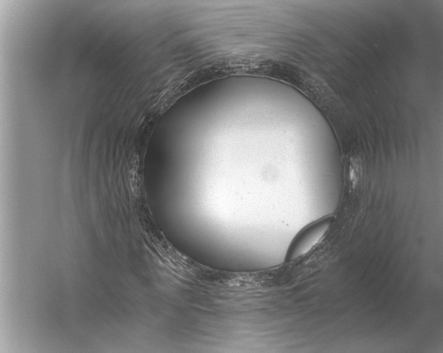 X0000056360867200509161825