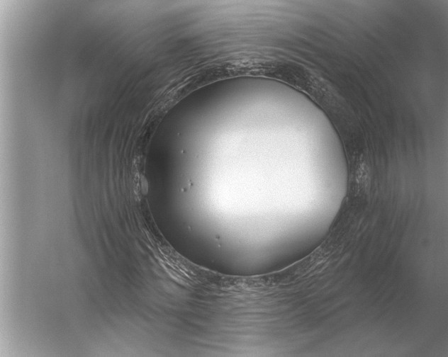 X0000056360868200509161825