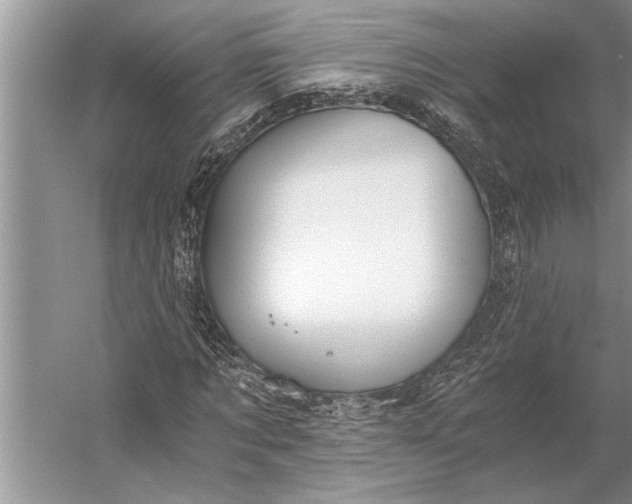 X0000056360869200509161825