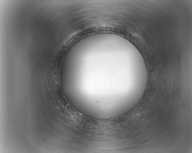 X0000056360870200509161825